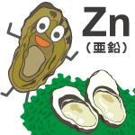 亜鉛（Ｚｎ）