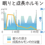 眠りと成長ホルモン